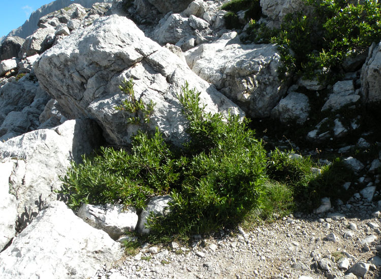 A zonzo sulle Dolomiti del Brenta 3